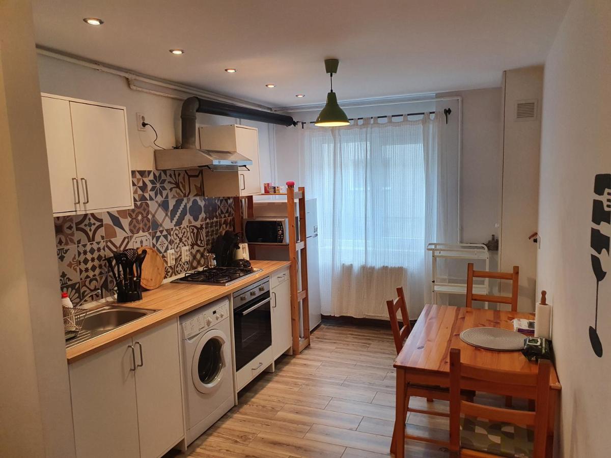 Rza Apartment Bistriţa エクステリア 写真