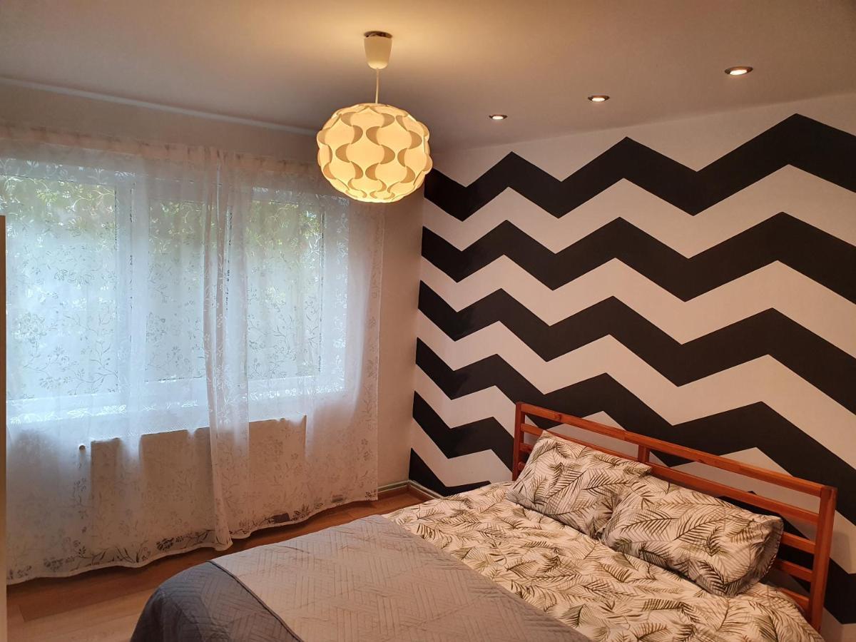 Rza Apartment Bistriţa エクステリア 写真